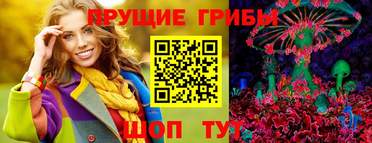 Дедовск  Псилоцибиновые грибы Psilocybe  Псилоцибиновые грибы GOLDEN TEACHER  Вход с VPN 