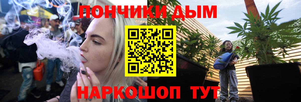 Бошки марихуана сатива Дедовск